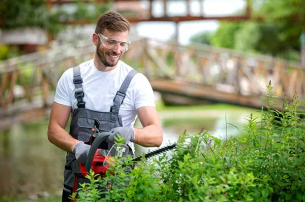 Gärtner schneidet eine Hecke